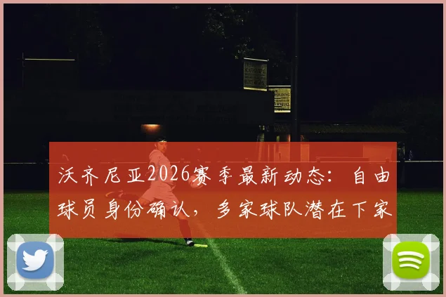 沃齐尼亚2026赛季最新动态:自由球员身份确认,多家球队潜在下家分析与签约前景解读